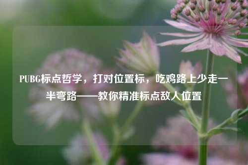 PUBG标点哲学，打对位置标，吃鸡路上少走一半弯路——教你精准标点敌人位置