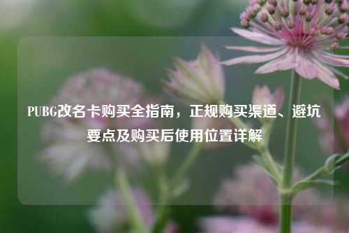 PUBG改名卡购买全指南,正规购买渠道、避坑要点及购买后使用位置详解