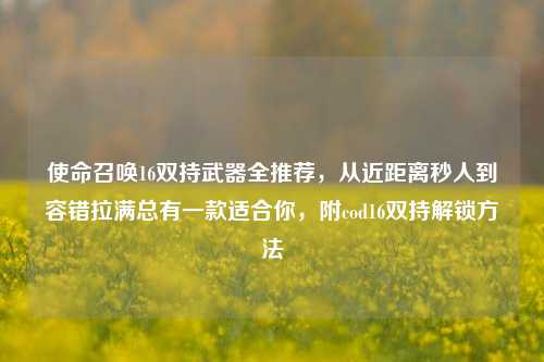 使命召唤16双持武器全推荐,从近距离秒人到容错拉满总有一款适合你,附cod16双持解锁方法