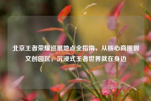 北京王者荣耀巡展地点全指南,从核心商圈到文创园区,沉浸式王者世界就在身边