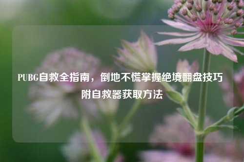 PUBG自救全指南,倒地不慌掌握绝境翻盘技巧 附自救器获取方法