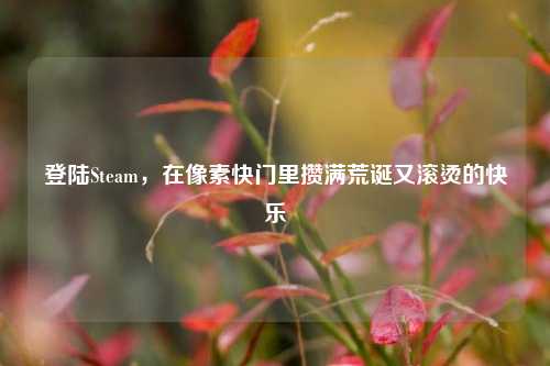 登陆Steam，在像素快门里攒满荒诞又滚烫的快乐