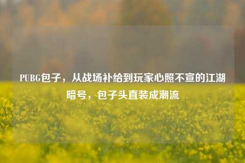 PUBG包子,从战场补给到玩家心照不宣的江湖暗号,包子头直装成潮流