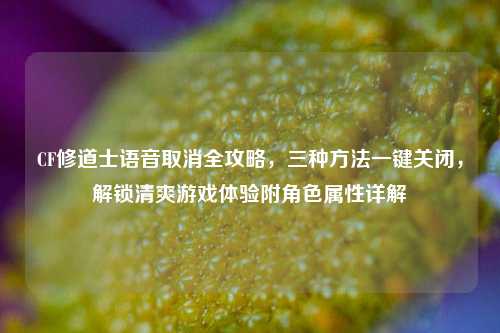 CF修道士语音取消全攻略，三种方法一键关闭，解锁清爽游戏体验附角色属性详解