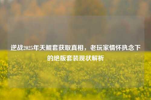 逆战2025年天鲲套获取真相,老玩家情怀执念下的绝版套装现状解析