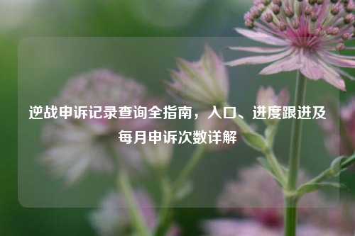 逆战申诉记录查询全指南,入口、进度跟进及每月申诉次数详解