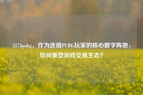 5173pubg,作为连接PUBG玩家的核心数字阵地,如何重塑游戏交易生态?