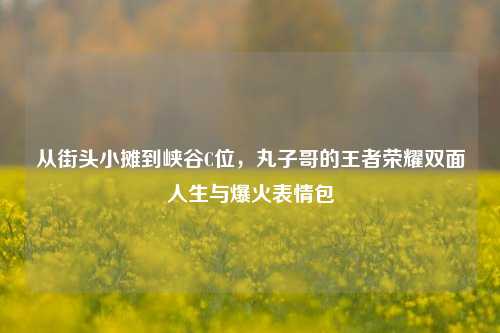 从街头小摊到峡谷C位,丸子哥的王者荣耀双面人生与爆火表情包