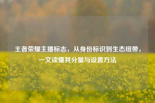 王者荣耀主播标志,从身份标识到生态纽带,一文读懂其分量与设置方法