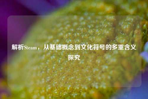 解析Steam,从基础概念到文化符号的多重含义探究