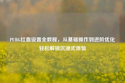 PUBG红血设置全教程，从基础操作到进阶优化轻松解锁沉浸式体验