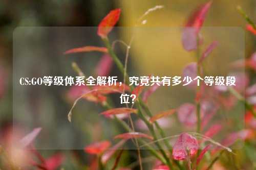 CS:GO等级体系全解析,究竟共有多少个等级段位?