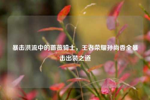 暴击洪流中的蔷薇骑士,王者荣耀孙尚香全暴击出装之道