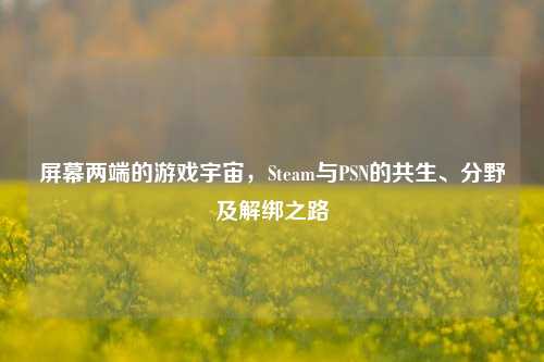 屏幕两端的游戏宇宙,Steam与PSN的共生、分野及解绑之路