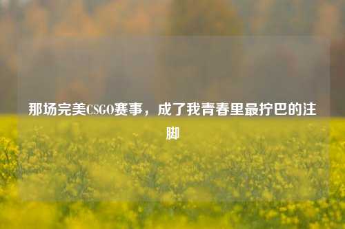 那场完美CSGO赛事，成了我青春里最拧巴的注脚