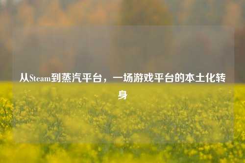 从Steam到蒸汽平台,一场游戏平台的本土化转身
