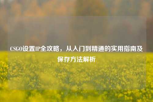 CSGO设置IP全攻略,从入门到精通的实用指南及保存方法解析