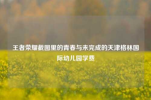 王者荣耀截图里的青春与未完成的天津格林国际幼儿园学费