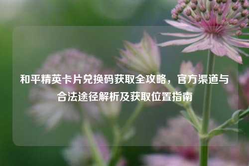 和平精英卡片兑换码获取全攻略,官方渠道与合法途径解析及获取位置指南