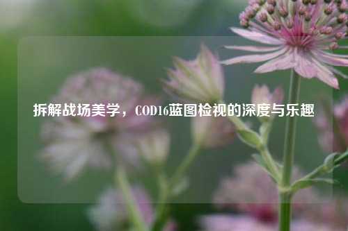 拆解战场美学,COD16蓝图检视的深度与乐趣