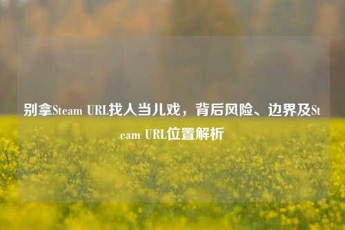 别拿Steam URL找人当儿戏,背后风险、边界及Steam URL位置解析