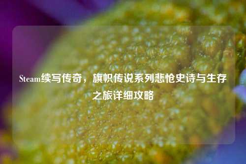Steam续写传奇,旗帜传说系列悲怆史诗与生存之旅详细攻略
