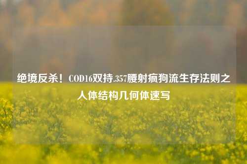 绝境反杀!COD16双持.357腰射疯狗流生存法则之人体结构几何体速写