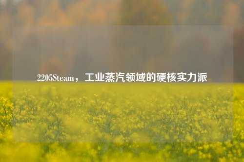 2205Steam,工业蒸汽领域的硬核实力派
