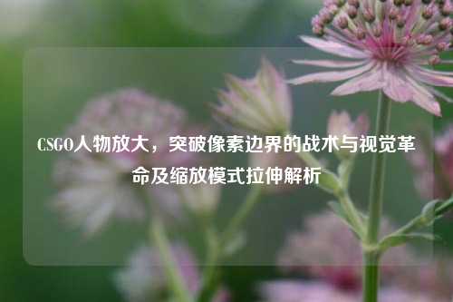 CSGO人物放大,突破像素边界的战术与视觉革命及缩放模式拉伸解析