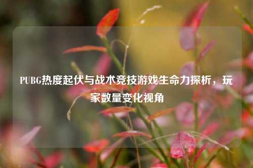 PUBG热度起伏与战术竞技游戏生命力探析,玩家数量变化视角