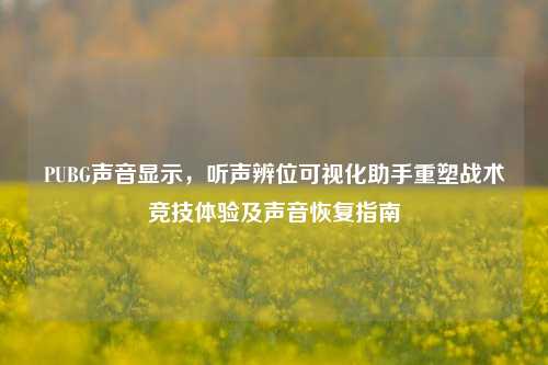 PUBG声音显示,听声辨位可视化助手重塑战术竞技体验及声音恢复指南