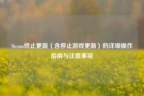 Steam终止更新(含停止游戏更新)的详细操作指南与注意事项