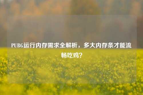 PUBG运行内存需求全解析,多大内存条才能流畅吃鸡?
