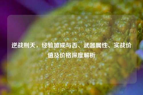 逆战刑天,经验加成与否、武器属性、实战价值及价格深度解析