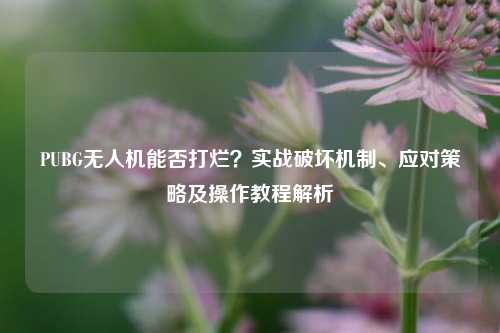 PUBG无人机能否打烂?实战破坏机制、应对策略及操作教程解析