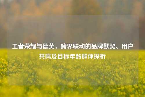 王者荣耀与德芙,跨界联动的品牌默契、用户共鸣及目标年龄群体探析