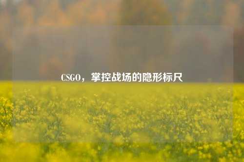 CSGO,掌控战场的隐形标尺