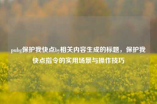 pubg保护我快点by相关内容生成的标题,保护我快点指令的实用场景与操作技巧