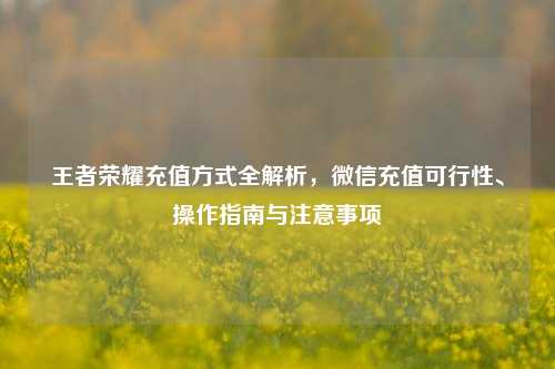 王者荣耀充值方式全解析,微信充值可行性、操作指南与注意事项