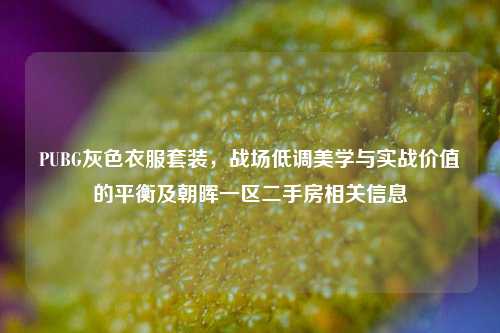 PUBG灰色衣服套装,战场低调美学与实战价值的平衡及朝晖一区二手房相关信息