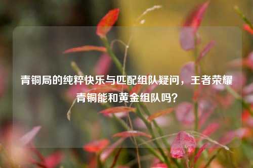 青铜局的纯粹快乐与匹配组队疑问,王者荣耀青铜能和黄金组队吗?