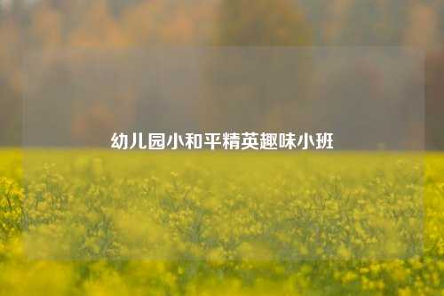 幼儿园小和平精英趣味小班