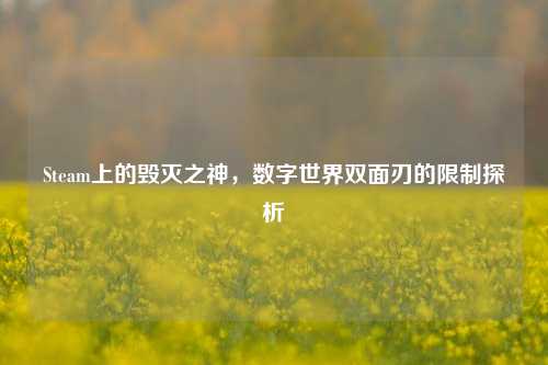 Steam上的毁灭之神，数字世界双面刃的限制探析