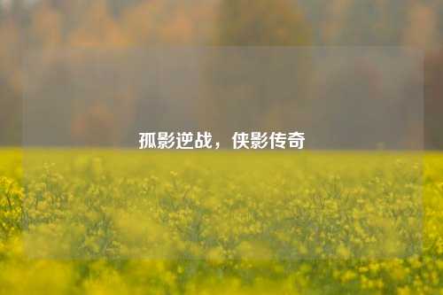 孤影逆战,侠影传奇