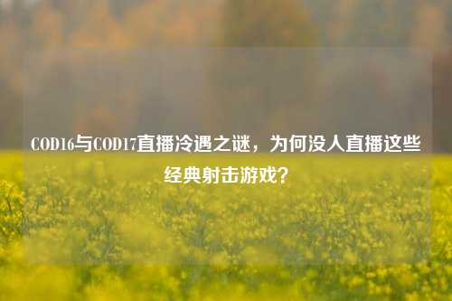 COD16与COD17直播冷遇之谜,为何没人直播这些经典射击游戏?