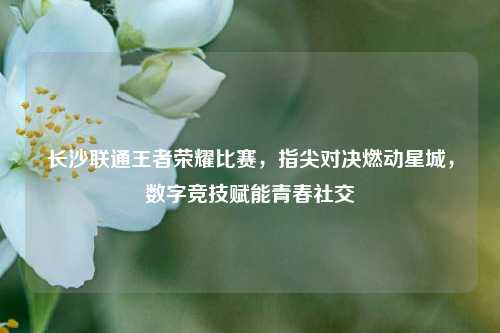 长沙联通王者荣耀比赛,指尖对决燃动星城,数字竞技赋能青春社交