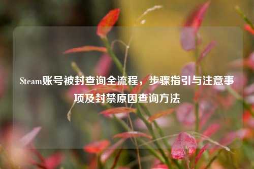 Steam账号被封查询全流程,步骤指引与注意事项及封禁原因查询方法