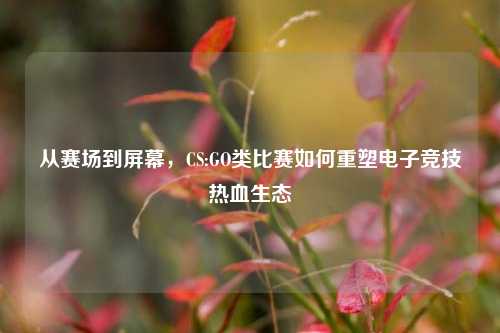 从赛场到屏幕,CS:GO类比赛如何重塑电子竞技热血生态
