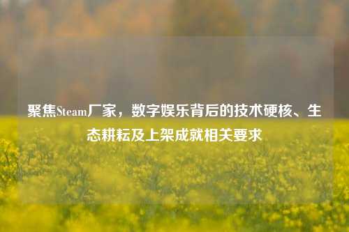 聚焦Steam厂家，数字娱乐背后的技术硬核、生态耕耘及上架成就相关要求