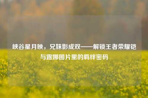 峡谷星月映,兄妹影成双——解锁王者荣耀铠与露娜图片里的羁绊密码